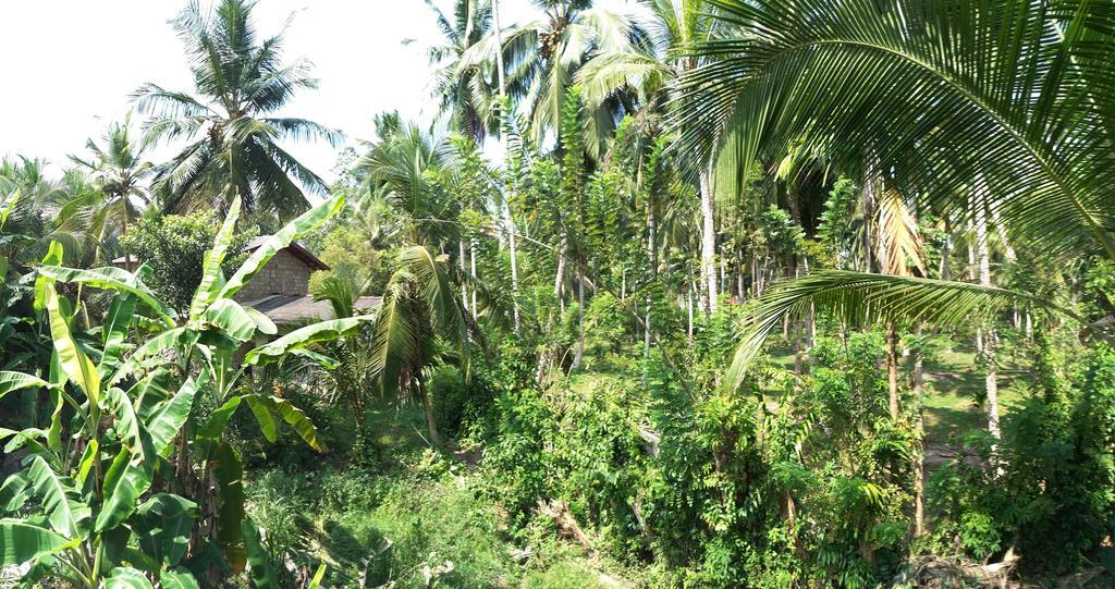 Damith Guest House Unawatuna Bagian luar foto